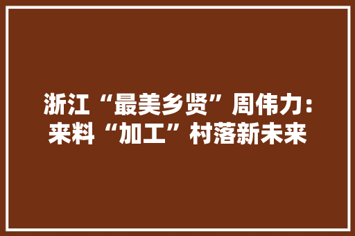 浙江“最美乡贤”周伟力：来料“加工”村落新未来