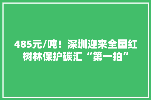 485元/吨！深圳迎来全国红树林保护碳汇“第一拍”