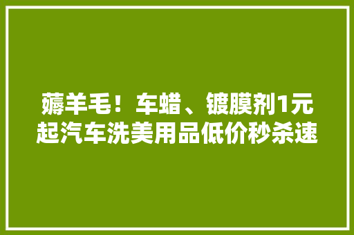 薅羊毛！车蜡、镀膜剂1元起汽车洗美用品低价秒杀速抢
