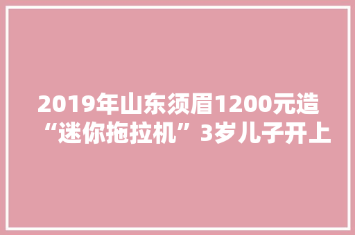 2019年山东须眉1200元造“迷你拖拉机”3岁儿子开上街惹人围不雅观