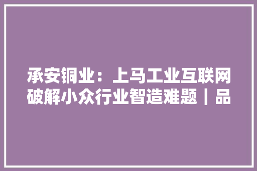 承安铜业：上马工业互联网破解小众行业智造难题｜品格革命与市场突围