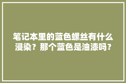 笔记本里的蓝色螺丝有什么浸染？那个蓝色是油漆吗？