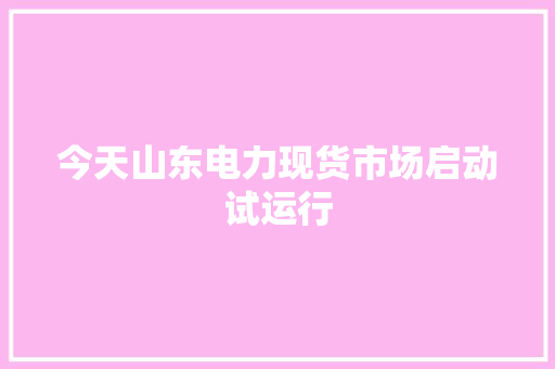 今天山东电力现货市场启动试运行