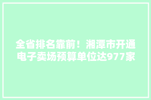 全省排名靠前！湘潭市开通电子卖场预算单位达977家