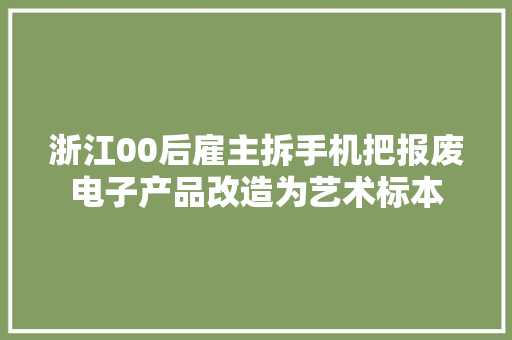 浙江00后雇主拆手机把报废电子产品改造为艺术标本