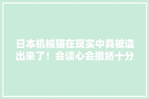 日本机械猫在现实中真被造出来了！会读心会撒娇十分治愈