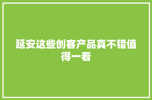 延安这些创客产品真不错值得一看