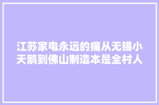江苏家电永远的痛从无锡小天鹅到佛山制造本是全村人的欲望