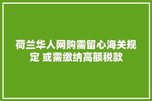 荷兰华人网购需留心海关规定 或需缴纳高额税款