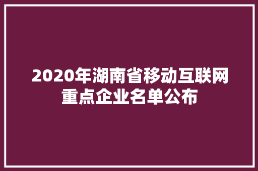 2020年湖南省移动互联网重点企业名单公布