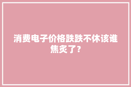 消费电子价格跌跌不休该谁焦炙了？
