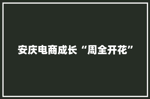 安庆电商成长“周全开花”