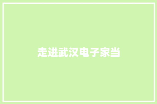 走进武汉电子家当