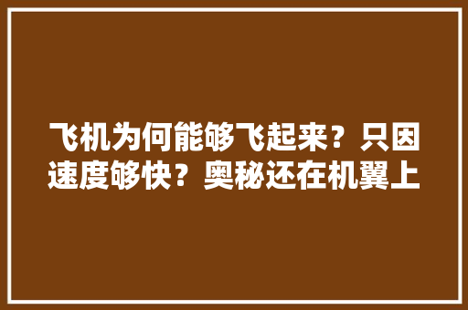 飞机为何能够飞起来？只因速度够快？奥秘还在机翼上