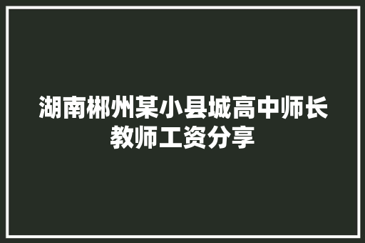 湖南郴州某小县城高中师长教师工资分享