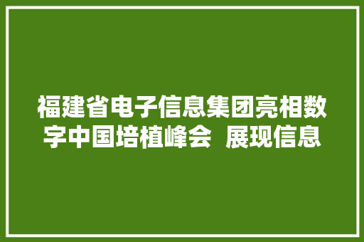 福建省电子信息集团亮相数字中国培植峰会  展现信息技能应用“硬实力”