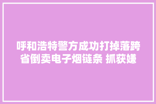 呼和浩特警方成功打掉落跨省倒卖电子烟链条 抓获嫌疑人7名