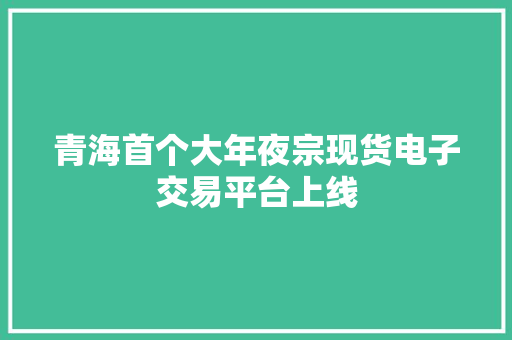 青海首个大年夜宗现货电子交易平台上线