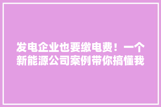 发电企业也要缴电费！一个新能源公司案例带你搞懂我国的电费构成