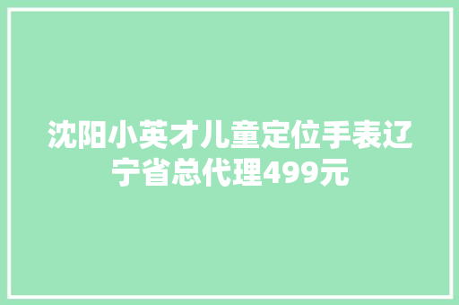 沈阳小英才儿童定位手表辽宁省总代理499元