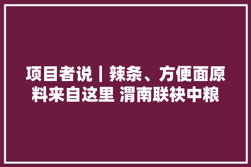 项目者说｜辣条、方便面原料来自这里 渭南联袂中粮粮谷打造这个重点项目