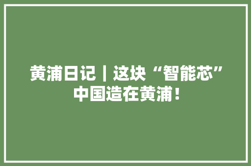 黄浦日记｜这块“智能芯”中国造在黄浦！