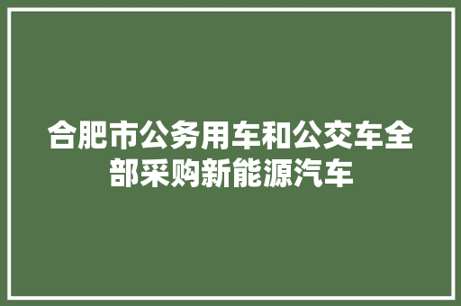 合肥市公务用车和公交车全部采购新能源汽车