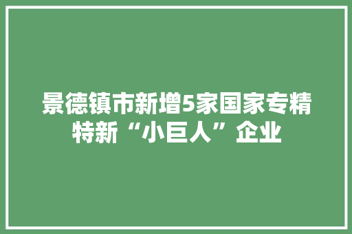 景德镇市新增5家国家专精特新“小巨人”企业