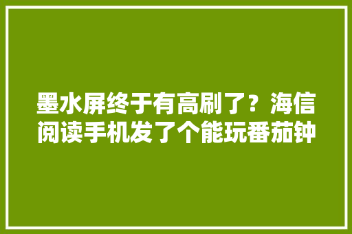 墨水屏终于有高刷了？海信阅读手机发了个能玩番茄钟的新品