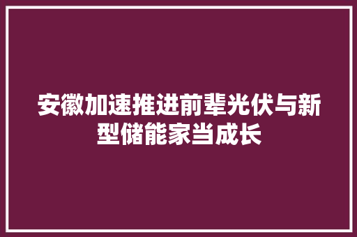 安徽加速推进前辈光伏与新型储能家当成长
