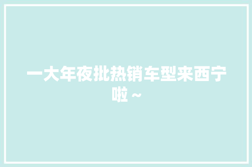一大年夜批热销车型来西宁啦～