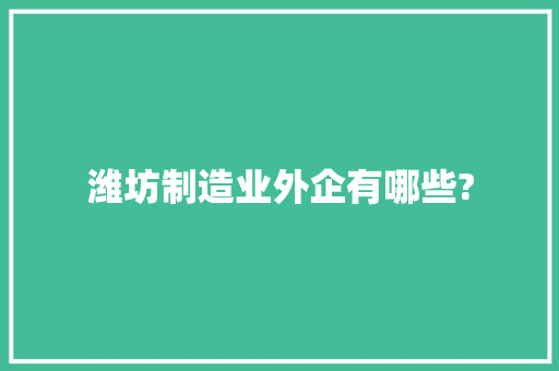 潍坊制造业外企有哪些?
