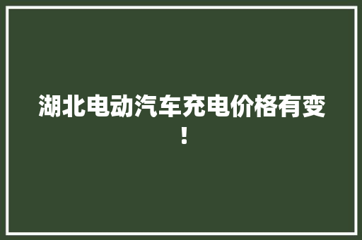 湖北电动汽车充电价格有变！