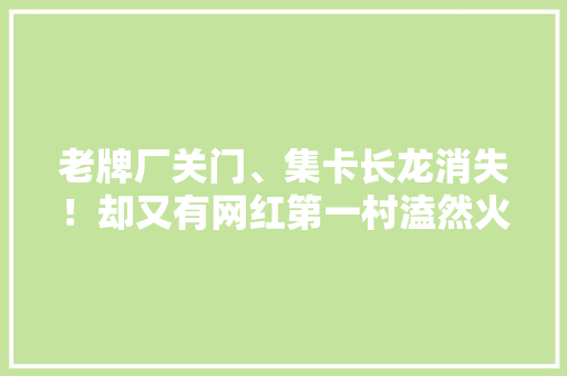 老牌厂关门、集卡长龙消失！却又有网红第一村溘然火了...…