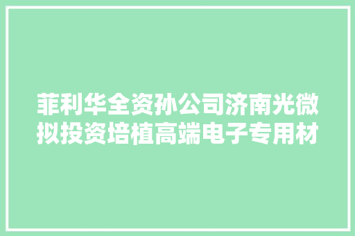 菲利华全资孙公司济南光微拟投资培植高端电子专用材料周详加工项目 项目投资总额估量4亿