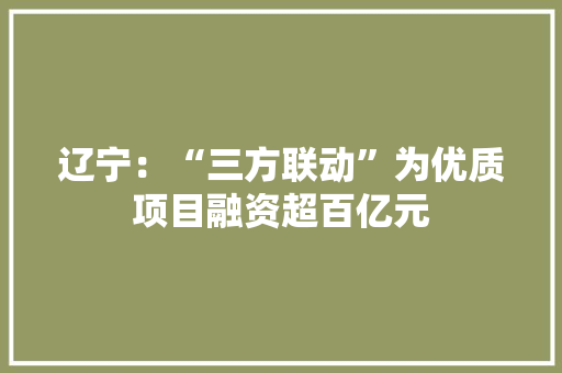 辽宁：“三方联动”为优质项目融资超百亿元