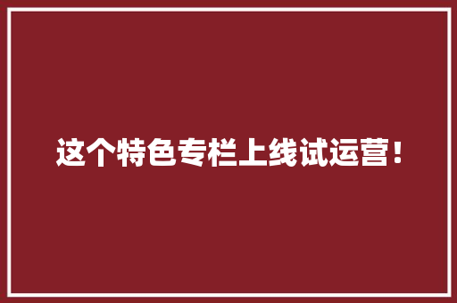 这个特色专栏上线试运营！