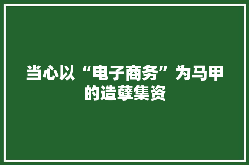 当心以“电子商务”为马甲的造孽集资