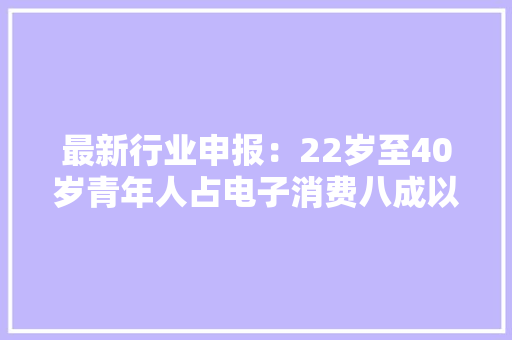 最新行业申报：22岁至40岁青年人占电子消费八成以上