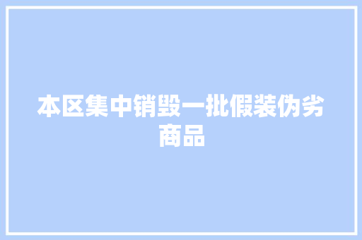 本区集中销毁一批假装伪劣商品