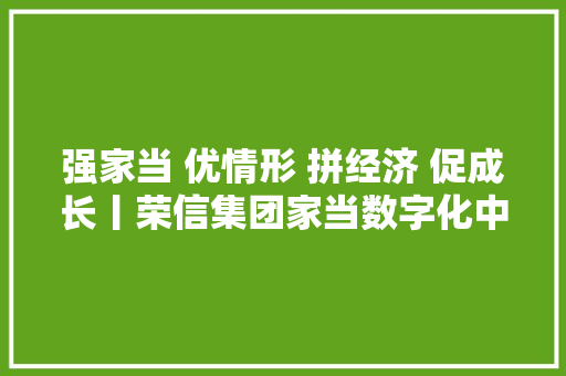 强家当 优情形 拼经济 促成长丨荣信集团家当数字化中央项目70%软硬件为自立研发