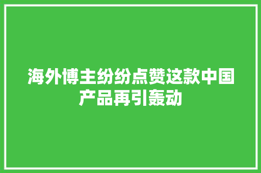 海外博主纷纷点赞这款中国产品再引轰动