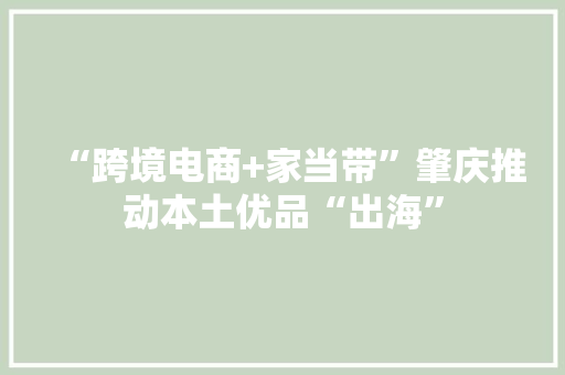“跨境电商+家当带”肇庆推动本土优品“出海”