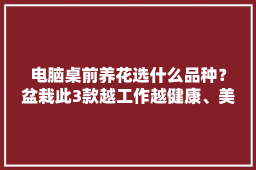 电脑桌前养花选什么品种？盆栽此3款越工作越健康、美丽