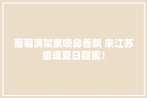 葡萄满架紫喷鼻香飘 来江苏重逢夏日甜蜜！