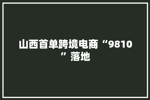 山西首单跨境电商“9810”落地