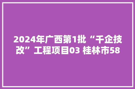 2024年广西第1批“千企技改”工程项目03 桂林市58项
