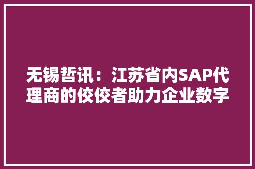 无锡哲讯：江苏省内SAP代理商的佼佼者助力企业数字化转型
