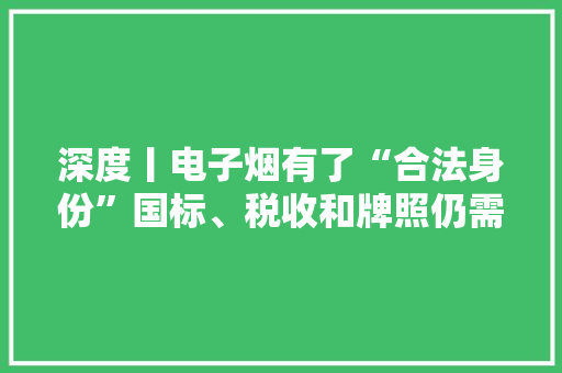深度丨电子烟有了“合法身份”国标、税收和牌照仍需明确