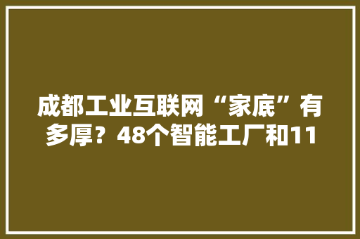 成都工业互联网“家底”有多厚？48个智能工厂和110个数字化车间亮相